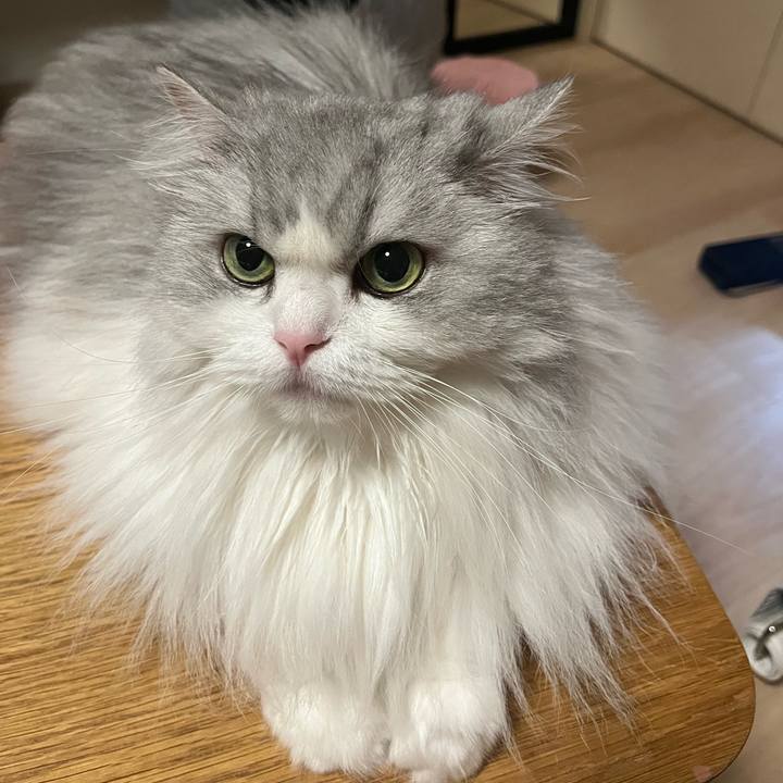 Cf7bbab6 2277 4d3f 959b f6636b34c9c8 1734788627543