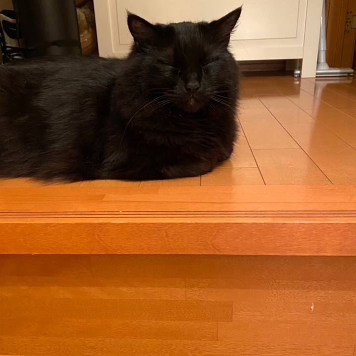 Cf7bbf2b a78a 46c2 bd79 a6d729d8d9a7 1589718775871