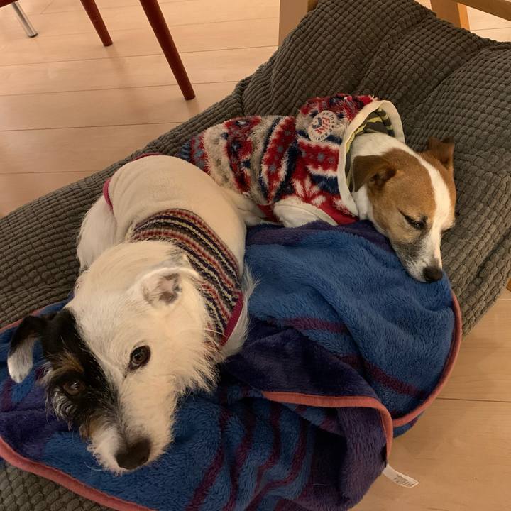 Cf7c1e9d 1724 4350 8005 3c0ac0aa8113 1577016818987