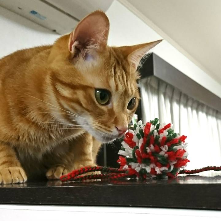 Cf7c630b 6339 4766 bcac 76ceada475bd 1522937561283