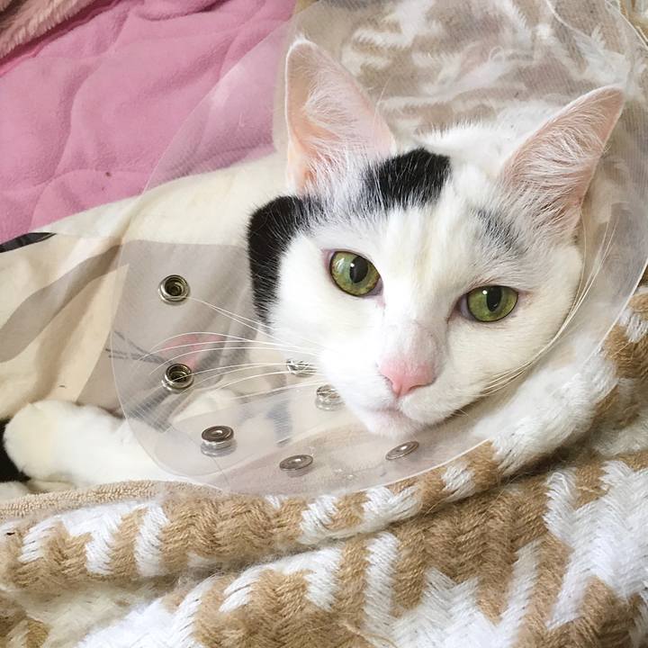 Cf7ceceb f562 46c5 abed eef44fea2cd8 1583739035737