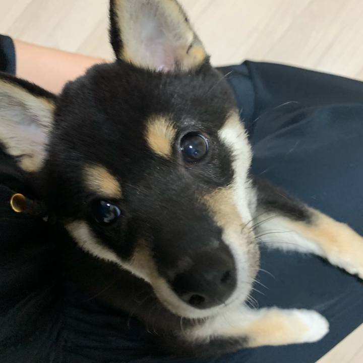 Cf7cffdd afc0 49f7 8bbf 087b4c46448f 1555494850006