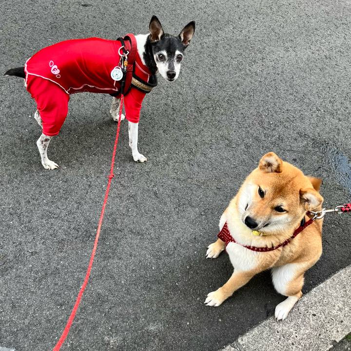 Cf7d10e2 6ce2 4aba be4f 6da0787d50cb 1653429576356