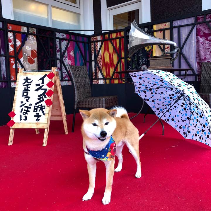 Cf7d2647 e81a 4a78 a3fc c5a4610555a0 1521615923987