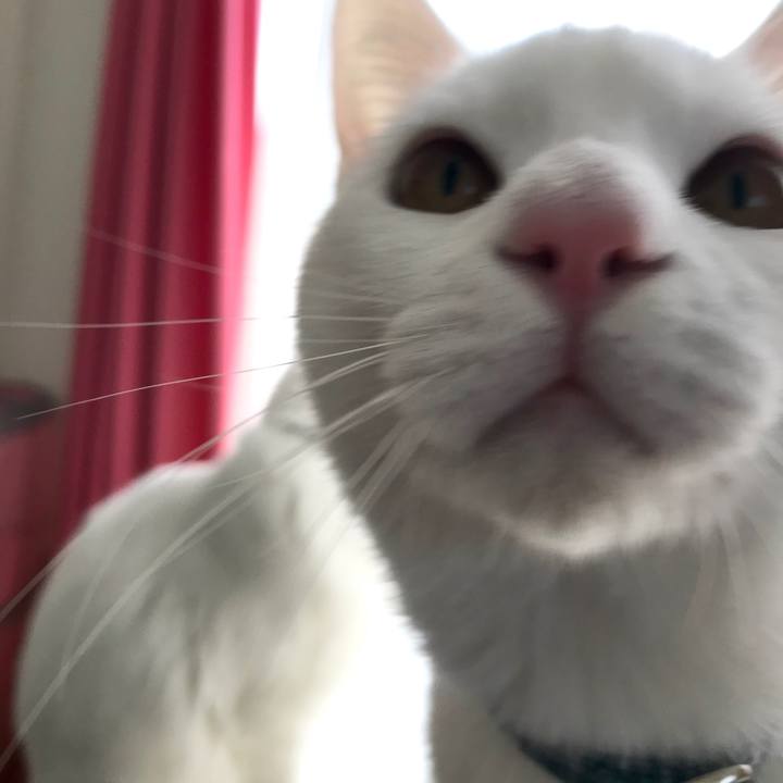 Cf7d5846 50db 4412 9bef 752a69fc7aaa 1581385670199