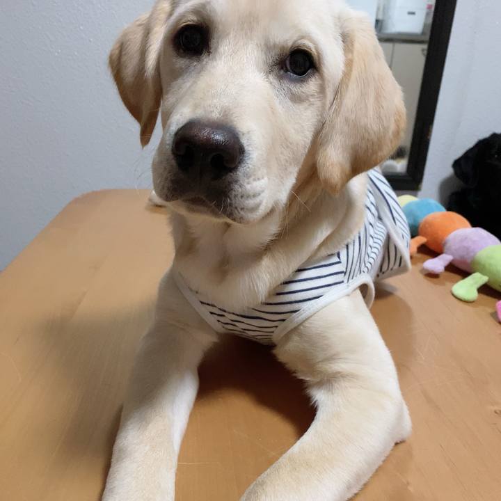 Cf7d60d3 3e18 48aa 8737 cfbebbe62be3 1617627433249