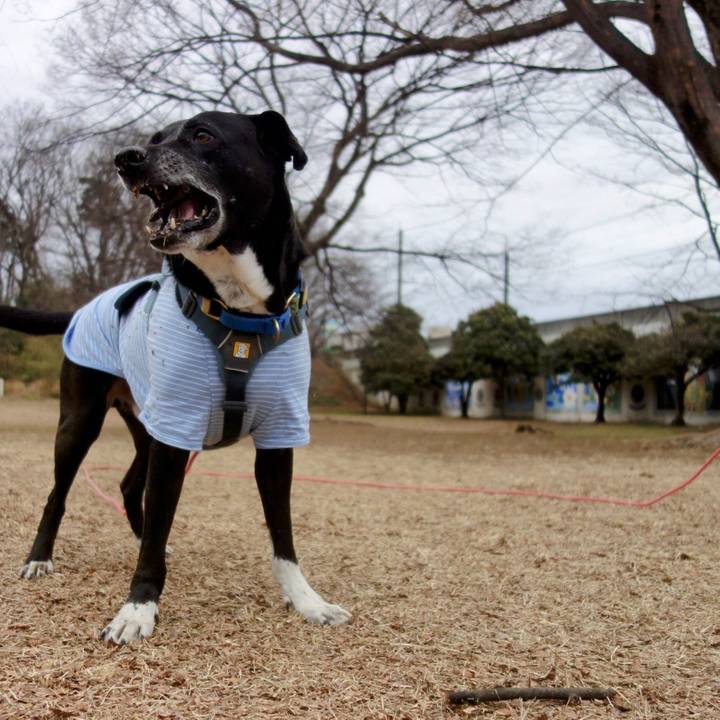 Cf7d6764 e682 4dfb 8be9 2224fa258ea3 1706836727282