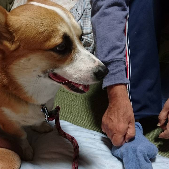 Cf7da8bc a8ec 453b ad49 aaeba2a91dcf 1605696248200