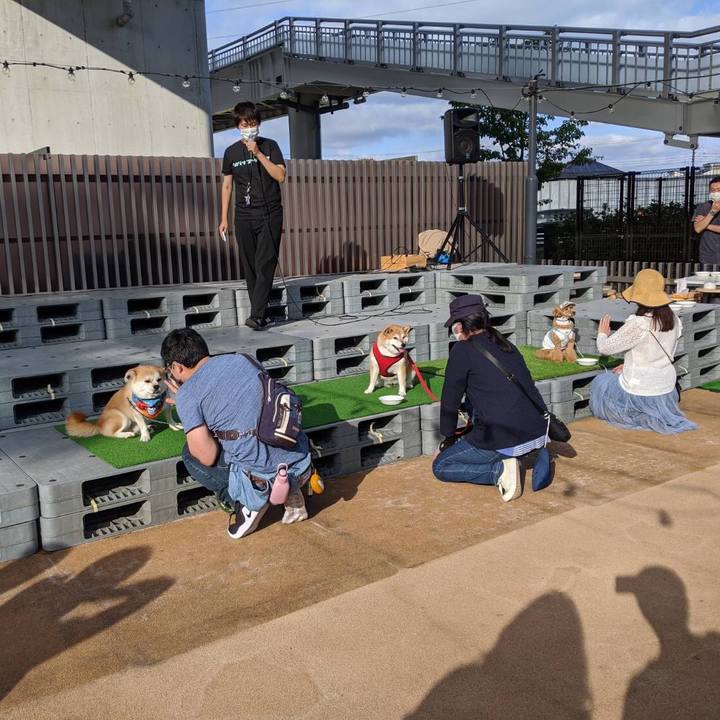 Cf7dbd5b e12d 4435 b988 cbb8c5693add 1604210582331