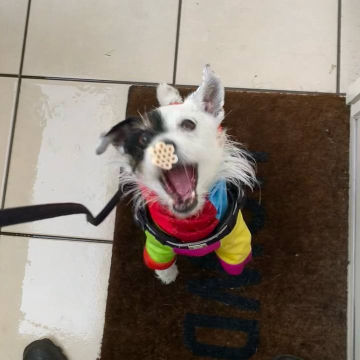 Cf7dcc81 1434 4769 9458 47dc05d275a4 1748563223146