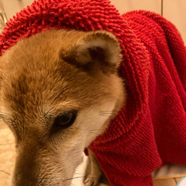 Cf7dcd0d 93e6 4102 8f6f c68a74d937b7 1640929318081