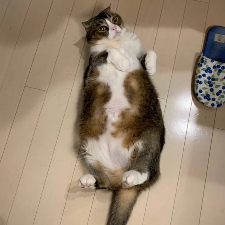 Cf7dcea5 fe18 4aac aa9d c699432adad8 1611380083031