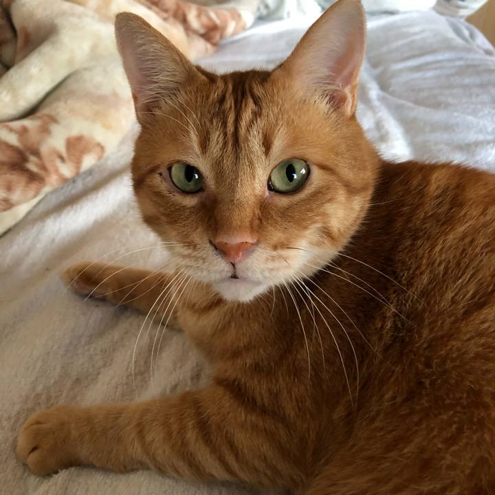 Cf7ddecb c902 4185 a20c 774b5c94f8bb 1622021830607