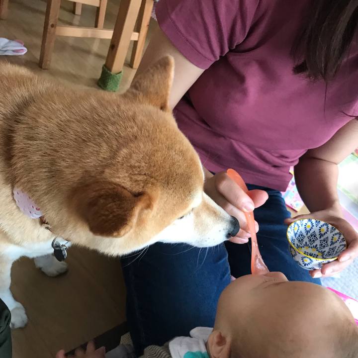 Cf7dff18 80b4 401a b747 ef8b73d6b07f 1558862837438