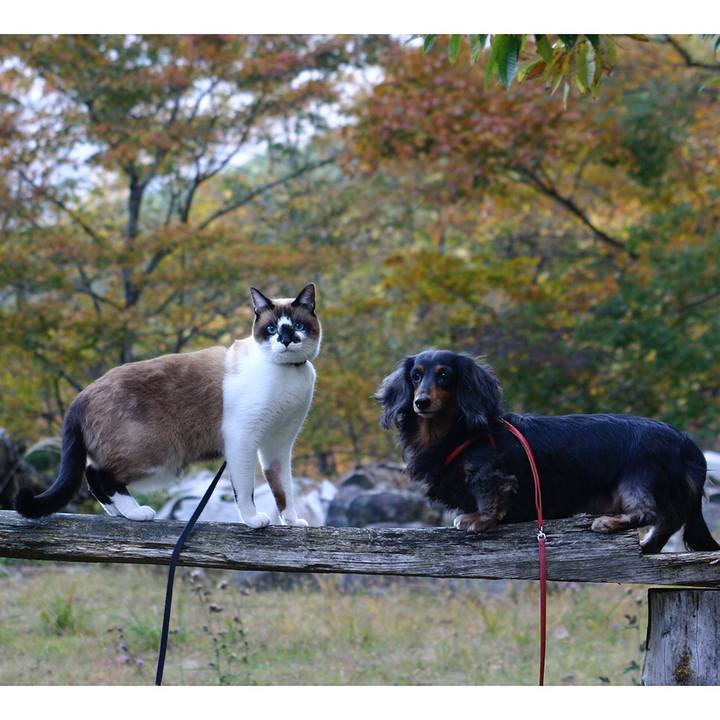 Cf7e241e e07b 45ba 9e43 9c902aa026e5 1519896730193