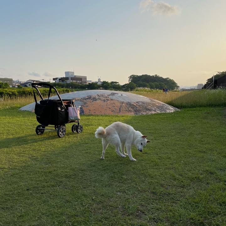 Cf7e2ade c105 4b43 aca4 42df37eb6071 1654343464310