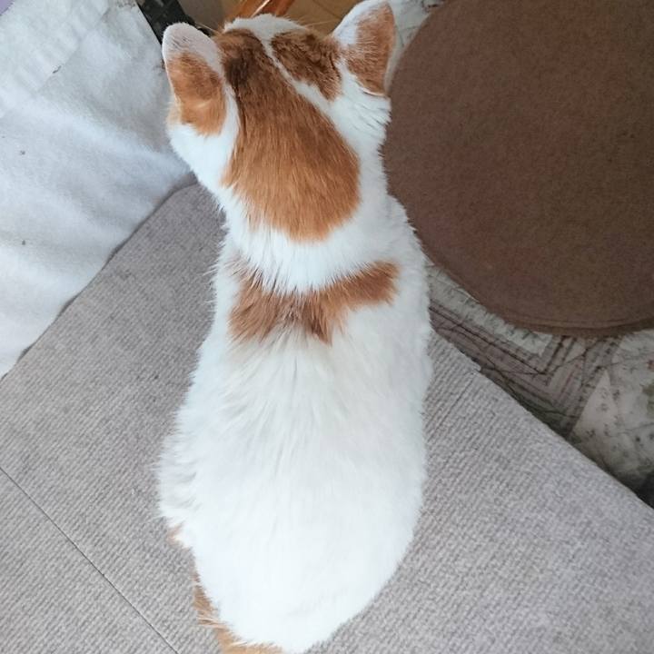 Cf7e6aaa 40d2 487c 8995 cff300b245cc 1623972202750