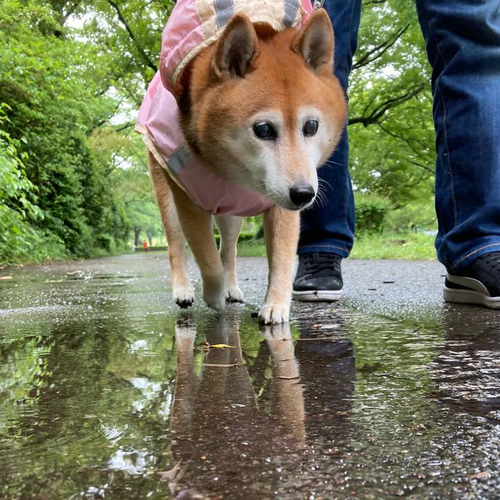 Cf7eb02d 2a6c 4476 b7e2 2a0357aa7b08 1684131341252