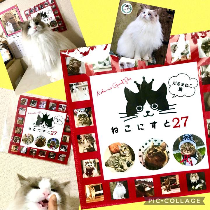 Cf7ecc58 f5f5 4a1a 96bc 8236b7df0506 1615622286795