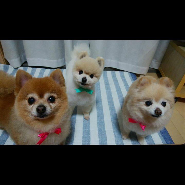 Cf7f0f25 c5c0 4f2b 95d4 fcbe68e76183 1557575068147