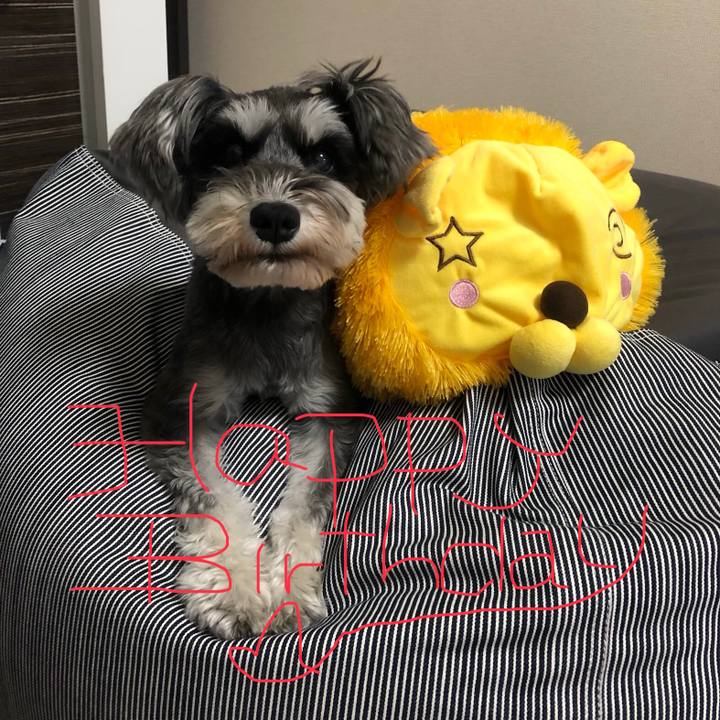 Cf7f160e 4ddd 4fb2 992e 178e0f54626f 1558172105031