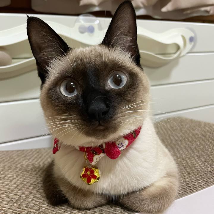 Cf7fd3e6 db1e 4870 ac21 d52269c3a3b2 1701372409076