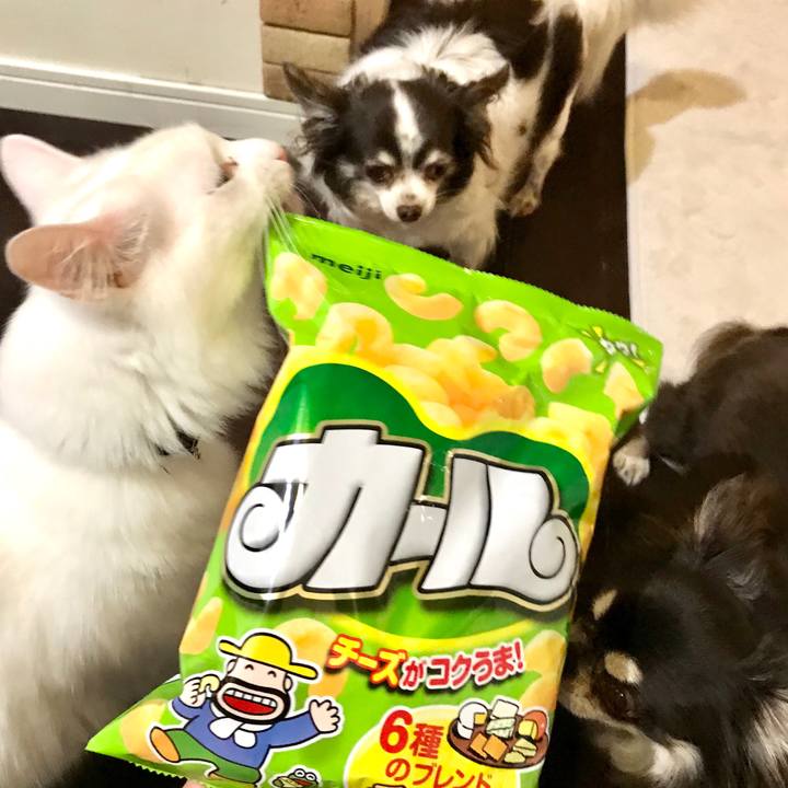 Cf800861 4ab1 40e1 9e58 693fe3451746 1586000348706