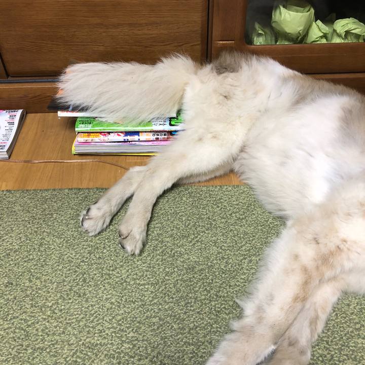 Cf800dd7 eedf 49ef 8049 c78fbf77b4ef 1528329519865