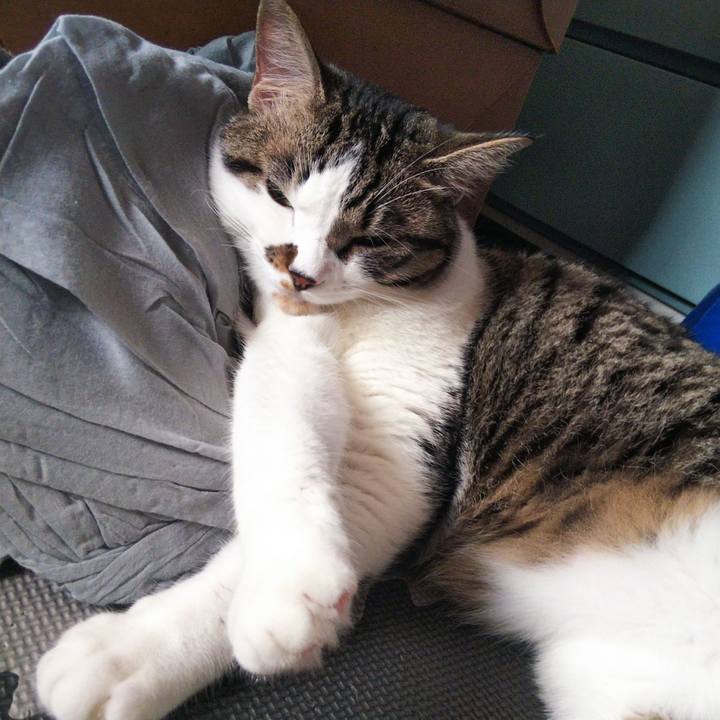 Cf803580 aa0e 49da a48e 1de14f2a3440 1627103687747