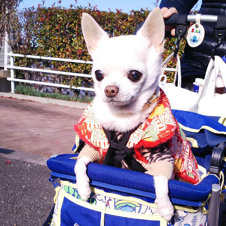 Cf80474e 1c7e 4f87 9285 41914ed05d15 1546228666759