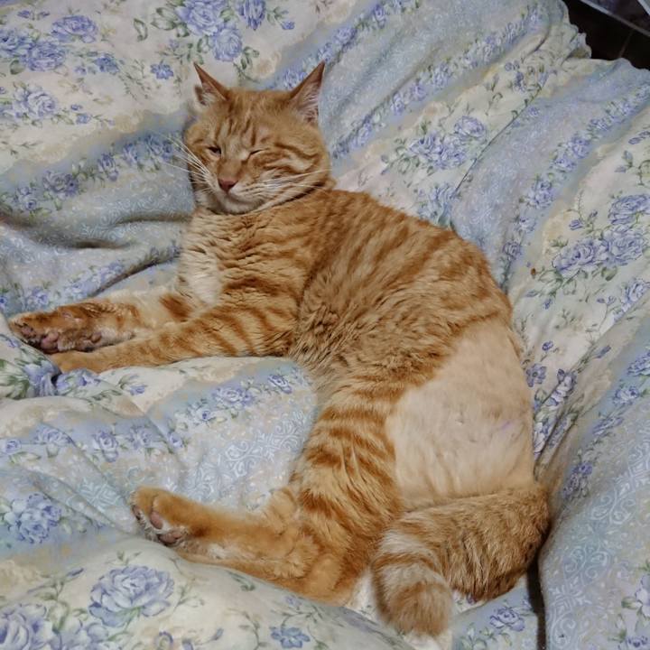 Cf80596b 39a7 421d 9b96 269ffaa61cc9 1655644241027