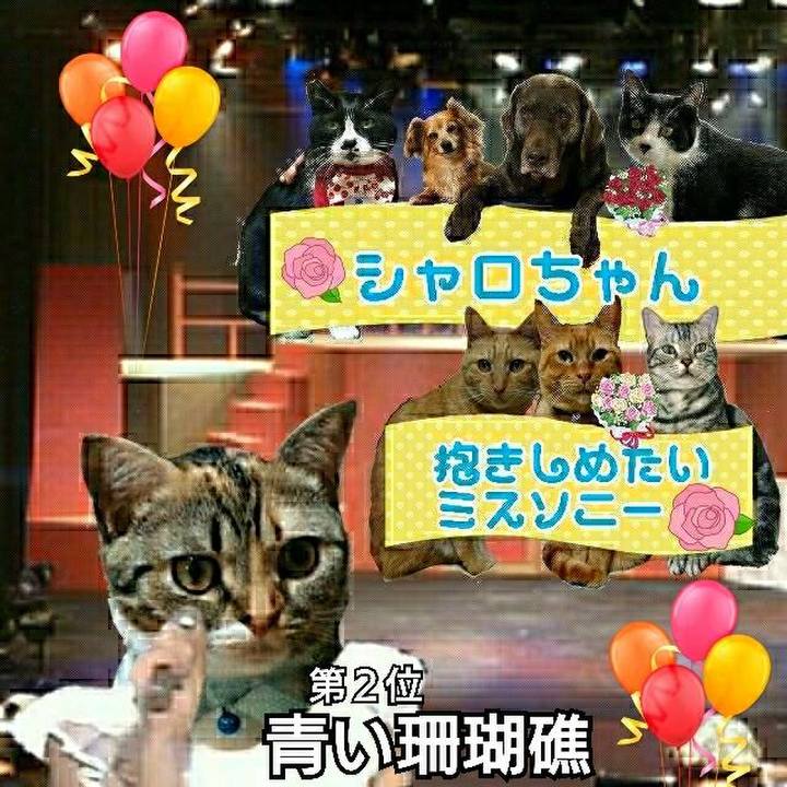 Cf807d30 839b 437a bfed 44396f7db872 1529840687808