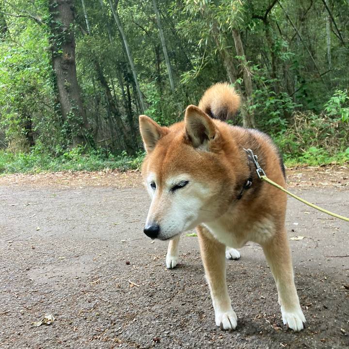 Cf808e8e 21bd 4052 9a13 6739d898828f 1682826352237