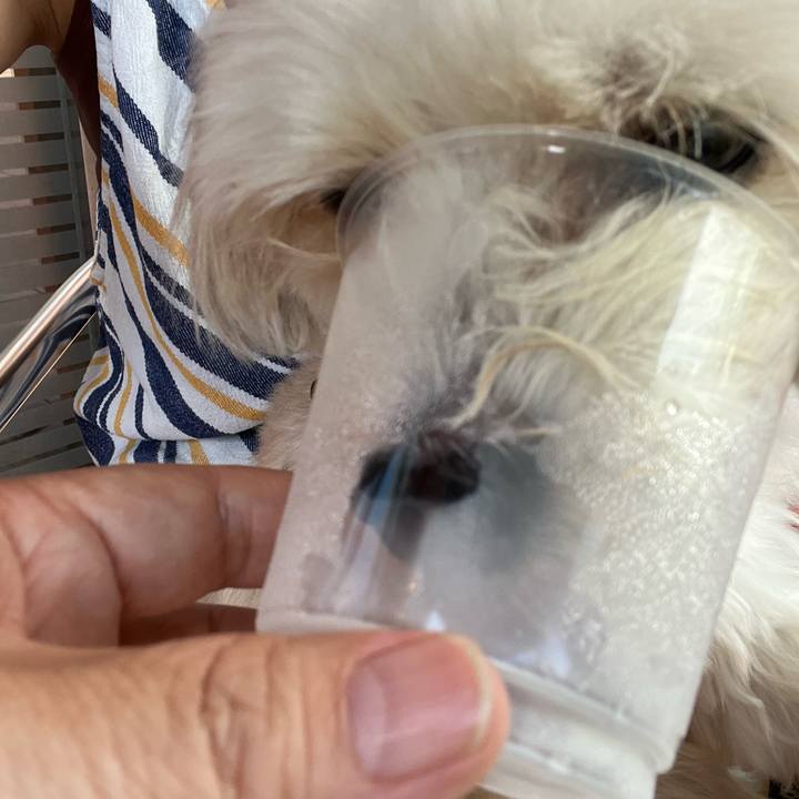 Cf80a474 e937 4b62 ba59 9ac362c0a883 1757213430889