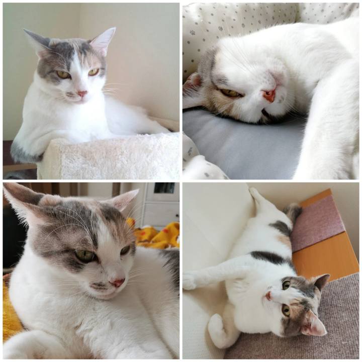 Cf80a68d b4d4 40f0 949f a8fdf4a99b98 1700968410557