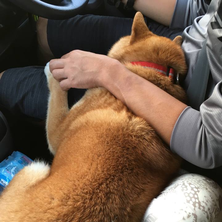 Cf80b7e4 678b 45d4 88b1 5c3b065c002a 1531514093013