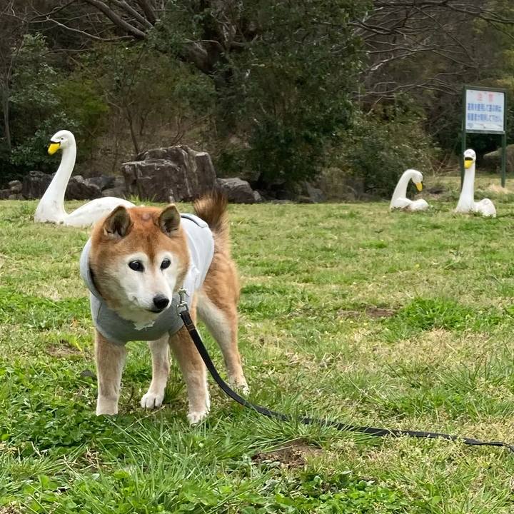 Cf80d00d e07a 473b ac21 d26d1a337d1e 1774238687171