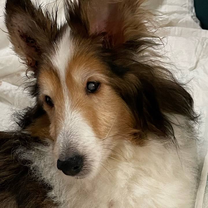 Cf80e733 67f9 4653 80e2 06e2a88e2888 1649571989174