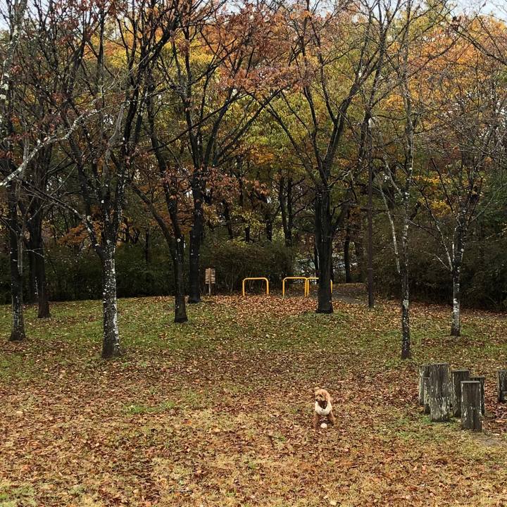 Cf80e7a5 7fb0 4b95 9c0b ab08f0915911 1574590646231