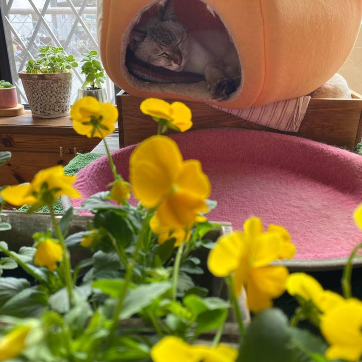 Cf80f585 314b 45bc be3f 511e8ab4dda5 1602572570957