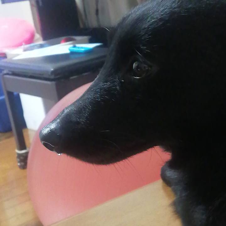 Cf8113d5 3f88 4d50 914c e91ca8c5b94b 1641020127621