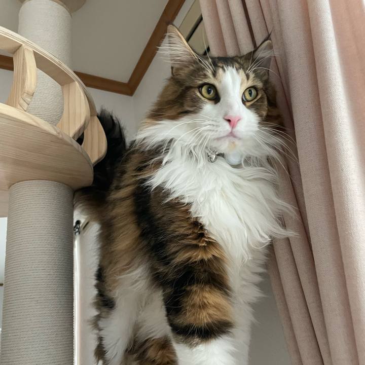 Cf8116a8 16ee 4c45 b948 3d8369501eb9 1653715699619