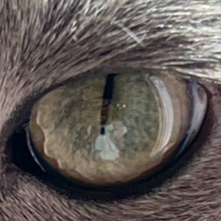 Cf811f36 71fc 461c ad95 a6a37fc1bd4f 1742164265777