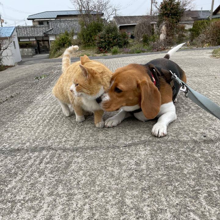 Cf81376f e6a3 4e1f 9b27 47300cbc3744 1660550959070