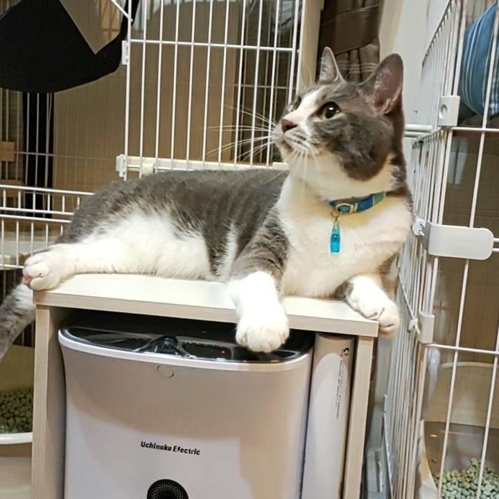 Cf813802 faa5 4bd9 ba11 c1e3b1f65cc9 1653308376119