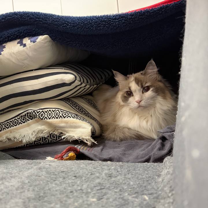 Cf81490a cb61 4de0 9364 e1d4af204b8e 1764028280362