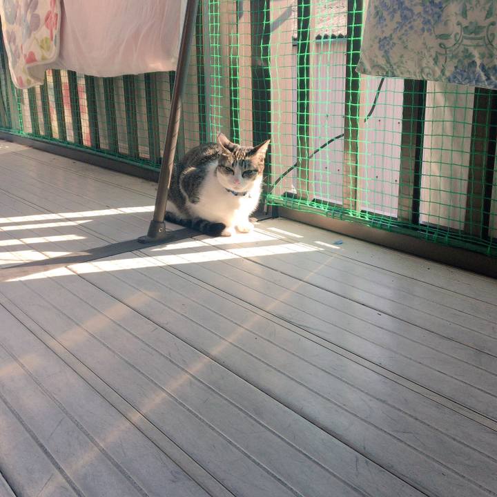 Cf81637c 3f9f 40c5 85e7 b9d6cc284824 1513933502496