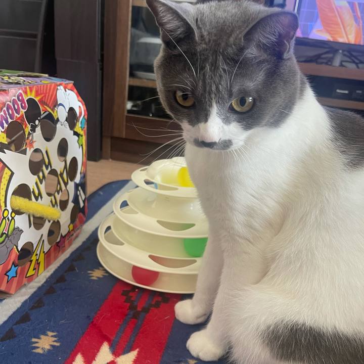 Cf816ee2 4dc2 49f9 bf6b 43aa5c2c8cea 1633135620193