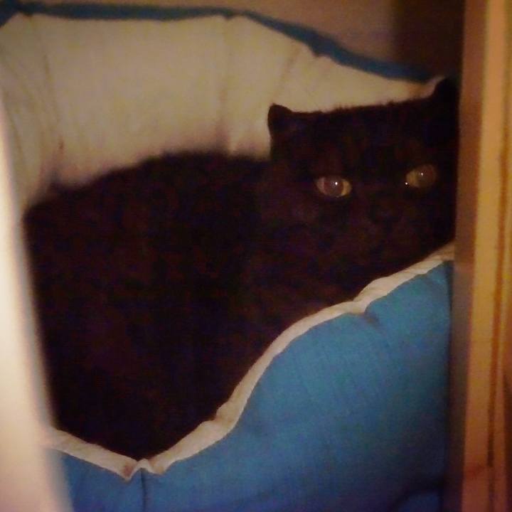 Cf81772a bc1b 4a0f b0c3 dfb7644ba60b 1562216398889