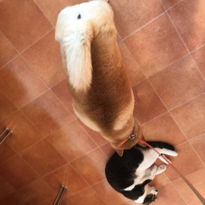 Cf81887c 1026 4dd7 988e 9e58088bb7e3 1573176894447